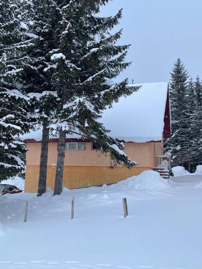 Durmitor Apartments Holiday Zabljak  Exterior photo