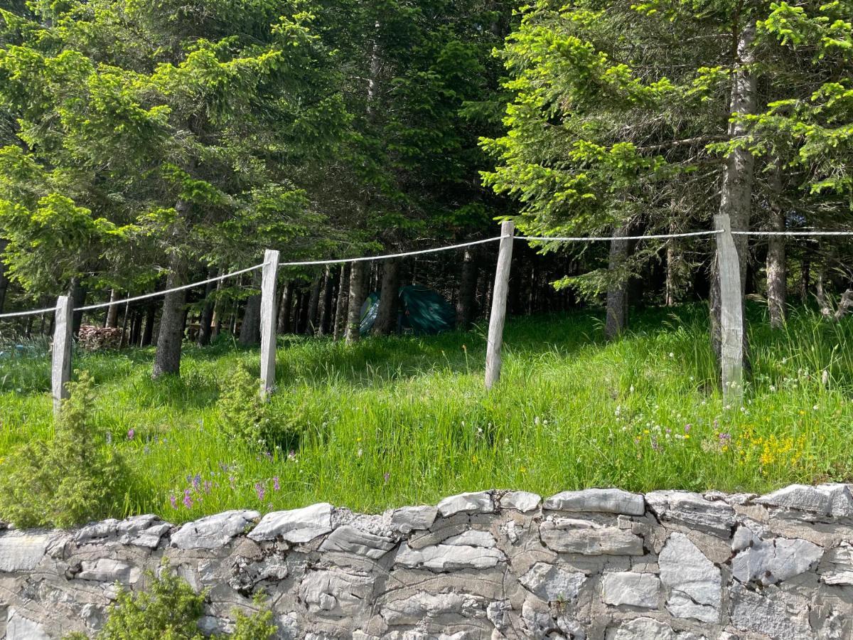 Durmitor Apartments Holiday Zabljak  Exterior photo